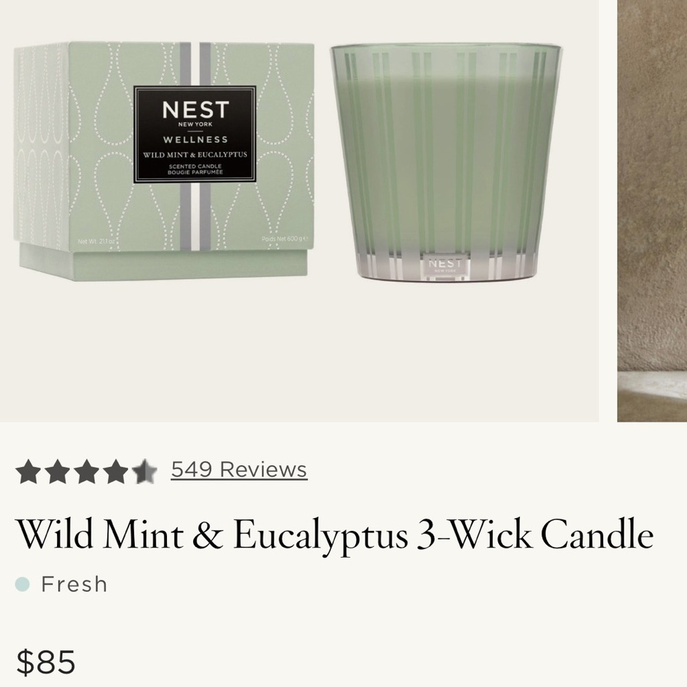 NEST New York Wild Mint & Eucalyptus 3-Wick Candle